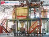 Enhance the growth of your cattle and poultry with healthy feeds