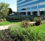 Best Commercial Landscape Design Near Me