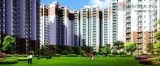 Get Top class 3 BHK Affordable Flats at Nirala Greenshire  Sec-2