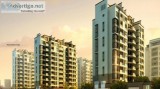 Godrej 24 Sarjapur Bangalore