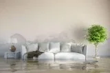 Water damage Flood damage clean up and extraction (ALL AREAS)