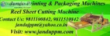 Reel to Sheet Cutting Machine Manufacturer in Delhi