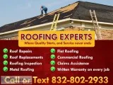 Professional Roofing
