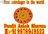 Best astrologer in  the world 919878919523