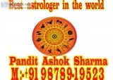 Best astrologer in  the world 919878919523