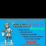 Dominguez  cleaning services