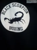 Private Boxing Lessons