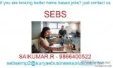 SEBS is standard company for home based jobs