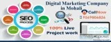 Seo Training in Mohali