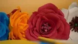 Get Free Stock Video at Great Quality