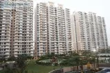 9250677000 - ACE City- Best 2 BHK Residential Project in Noida E