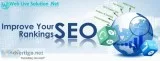 SEO Services Company in Delhi