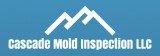 Need Mold Remediation Or Removal In Everett WA