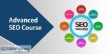 SEO Training in India