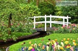 Garden Design Services in Dublin