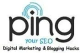 SEO Services India Best PPC Services Delhi