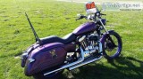 2005 XL 1200 custom Harley Davidson - 4800 (Horseshoe Bend)