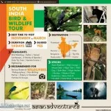 south india birding and wildlife tours