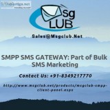 SMPP Server Provider Evolutionary Step In Bulk Messaging