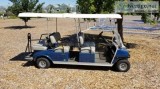6-Seat Electric Golf Cart