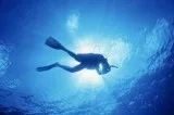 Scuba Diving in Goa