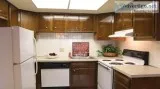 153 Peppertree Drive 10 Amherst
