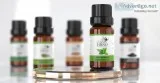 Shop Now Organic Peppermint Essential Oil Wholesale Suppliers an