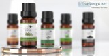 Shop Now 100% Organic Tea Tree Essential Oil In Bulk