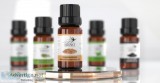 Buy Now Frankincense Serrata Essential Oil at an Affordable Pric