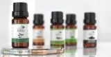 Shop Now Eucalyptus Lemon Essential Oil from Suppliers and Manuf