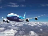 Reputed Airlines Have Vacancy for Boarding Pass Checking Staff A
