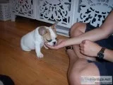 Giving our babies for adoption