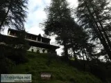 Jageshwar places to stays