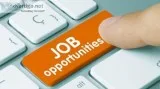 Govt. Registered company hiring for full time workers.