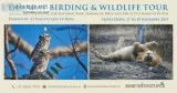 Wildlife and birding photography in india