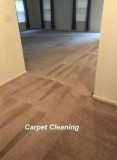 Carpet and Upholstery Cleaning