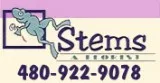 Stems A Florist