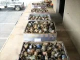 Small Water Meters - 1 Lot