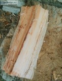 DRY STORED FIREWOOD AXE SPLIT DOWNTOWN ORLANDO