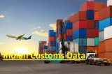 Indian Customs Data Provider