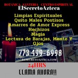 Botanicas cerca de North Aurora IL