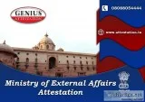 Mea Attestation
