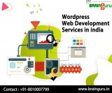 Wordpress Web Development Services in india