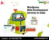 Wordpress Web Development Services in india