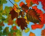 Sacramento Studio 1016 Fall Leaves  AUTUMN SPECIAL  ONLY 30  Age