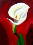 Folsom.Studio 1013 Calla Lily  Ages 21 and up