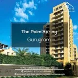 Palm Springs Gurgaon  Rent Propery in Golf course Road Gurgaon