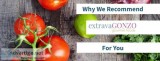 extravaGONZO Gourmet Foods