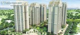 Get closer to affluent homes in Ace Golfshire Noida 9250002253