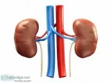 Kidney Transplant Hospital in Punjab  SPS Hospitals Ludhiana